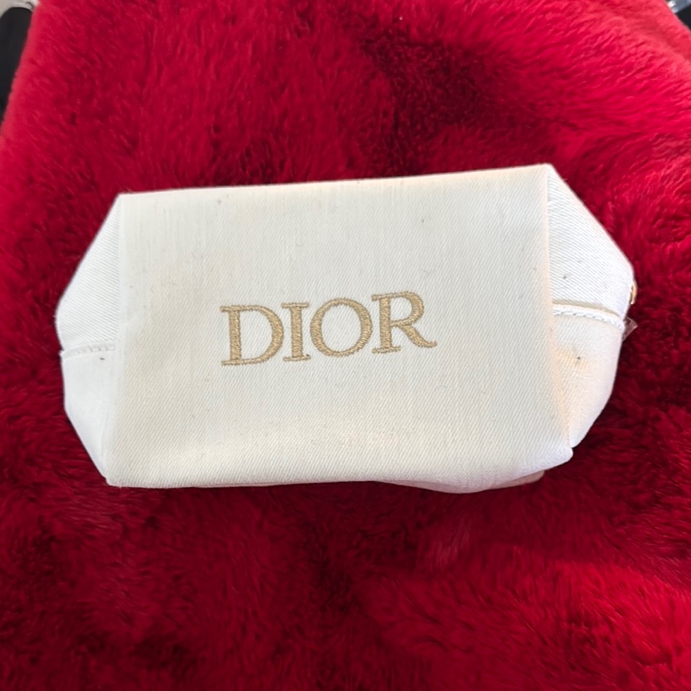 Dior Cream Canvas Pouch